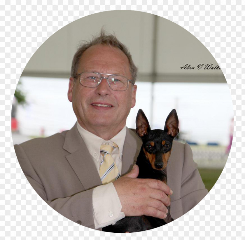 English Toy Terrier Dog Breed Snout PNG