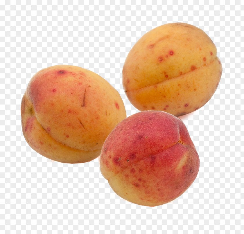 Ripe Apricot Organic Food Fruit Peach PNG