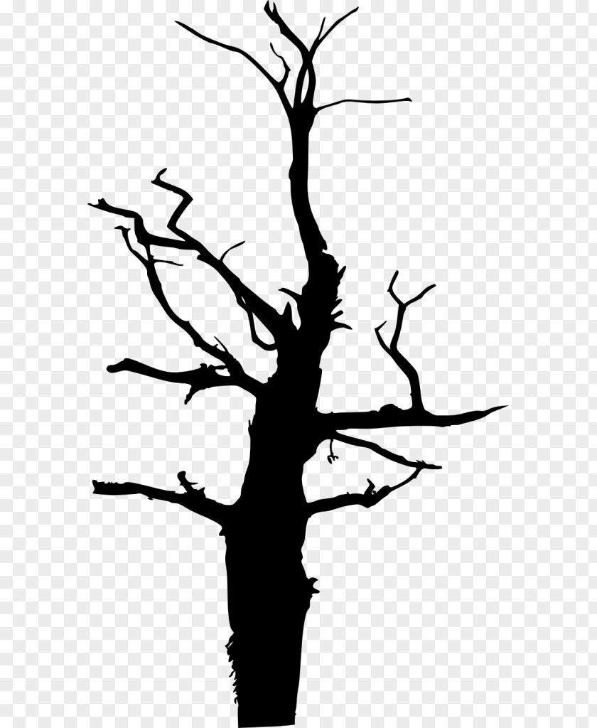 Silhouette Twig Black And White Clip Art PNG