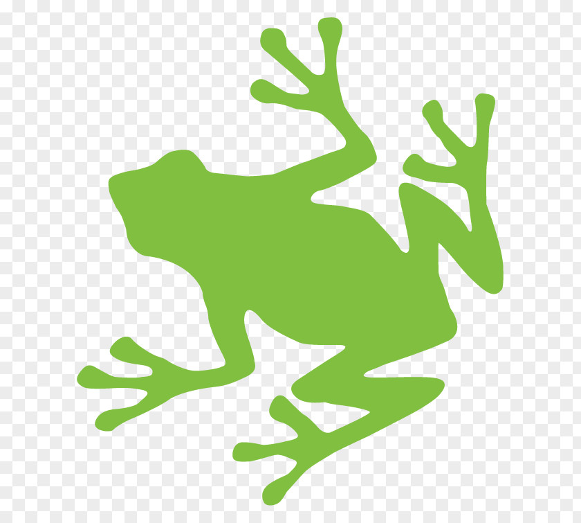 Biology Frog Turtle Logo Decal PNG
