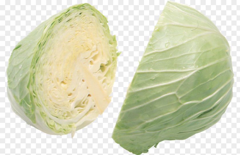 Cabbage Roll Vegetable Red PNG