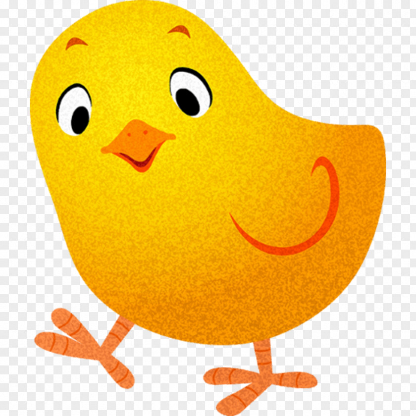 Chicken Sticker Child Image Drawing PNG