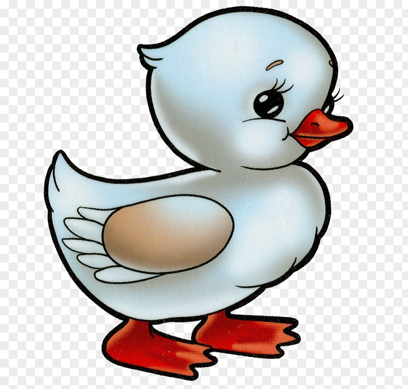 Duck Drawing Clip Art PNG