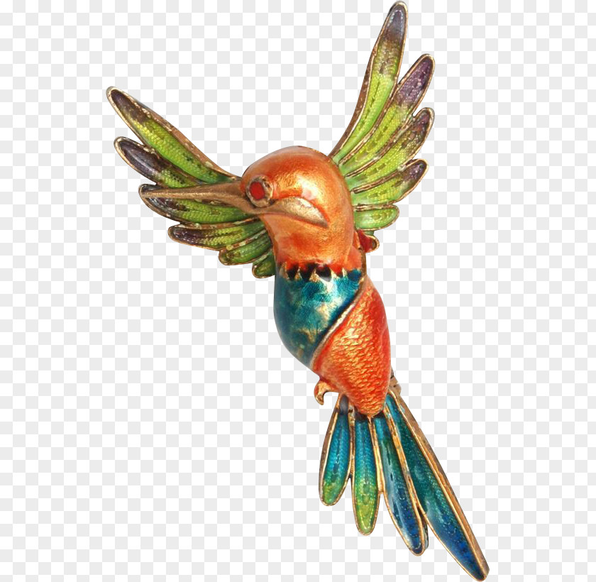 Feather Macaw Beak Parakeet Wing PNG