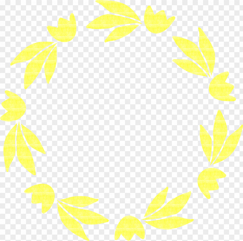 Floral Frame Flower Nature PNG