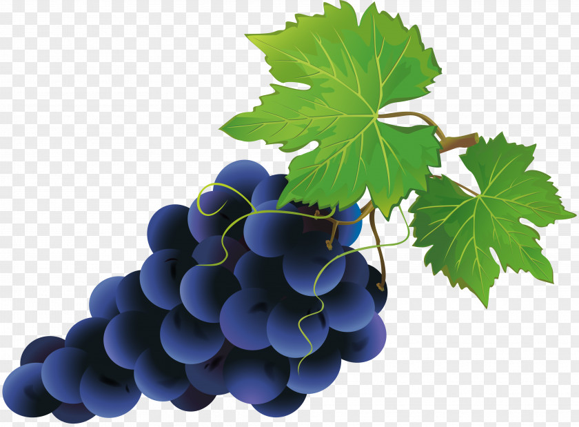 Grapes Grape Royalty-free Clip Art PNG
