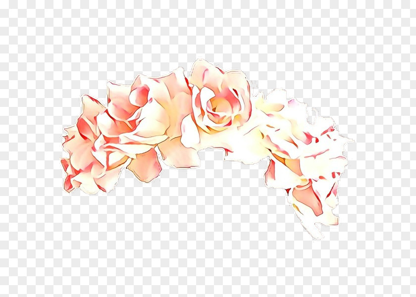 Plant Rose Orange PNG