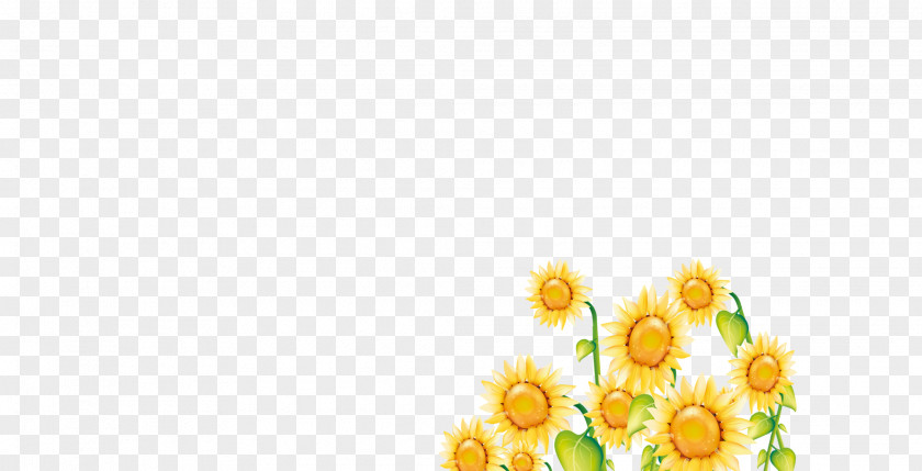 Sunflower Floral Design Yellow Petal Flower Pattern PNG