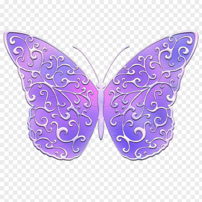 Butterfly Insect Purple Insulamon Palawanense Lavender PNG