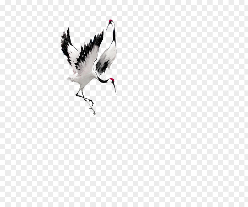 Crane Bucky Barnes Bird PNG