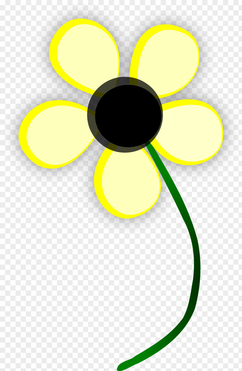 Daisy Common Yellow Clip Art PNG