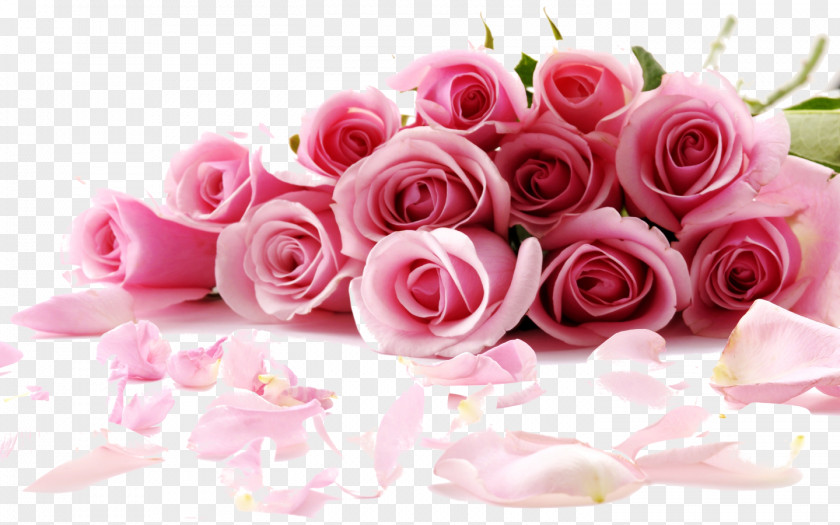 Rose Flower Desktop Wallpaper Stock.xchng Pink PNG