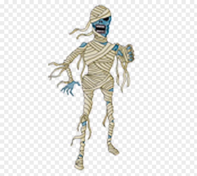 Skeleton Joint Homo Sapiens Headgear PNG