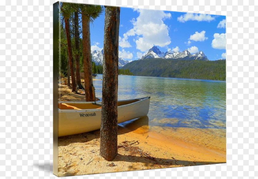 Wood Gallery Wrap Canvas Water Resources Lake PNG