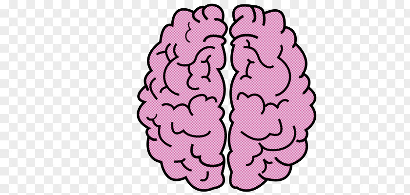 Brain Neurologist Cerebrum Agy PNG