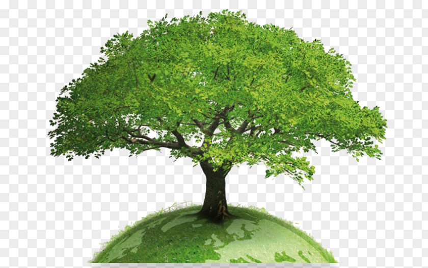 Earth World Tree Globe Global Warming PNG