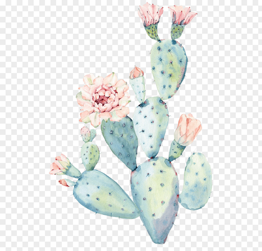 Watercolor Plants Cactus Painting Pastel Art PNG