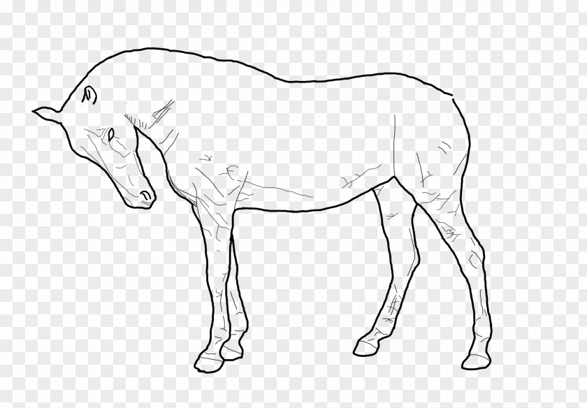 Drawing Animals Mule Standing Horse Line Art Pony PNG
