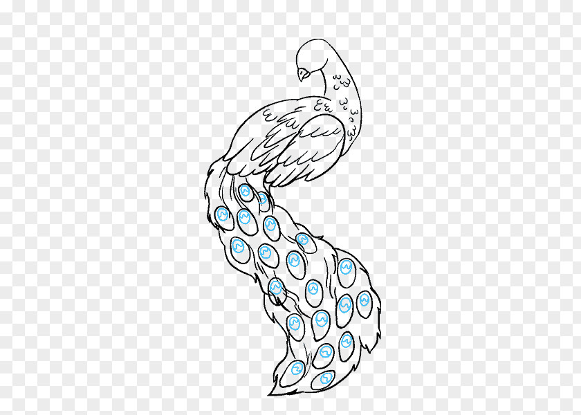 Feather Drawing Pavo Art Sketch PNG