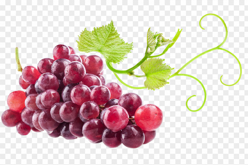 Fruit Juice Quercetin Frozen Yogurt Food Grape PNG