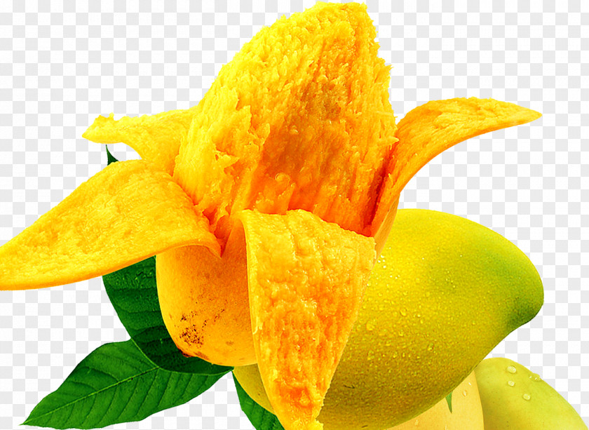 Mango Food Auglis Fruit PNG