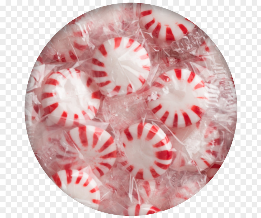 Mint Kosher Foods Peppermint Candy Bulk Confectionery PNG