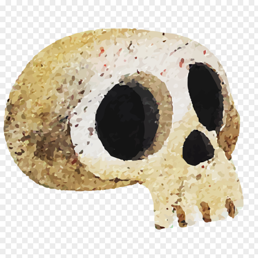 Skull U9ab7u9ac5 PNG