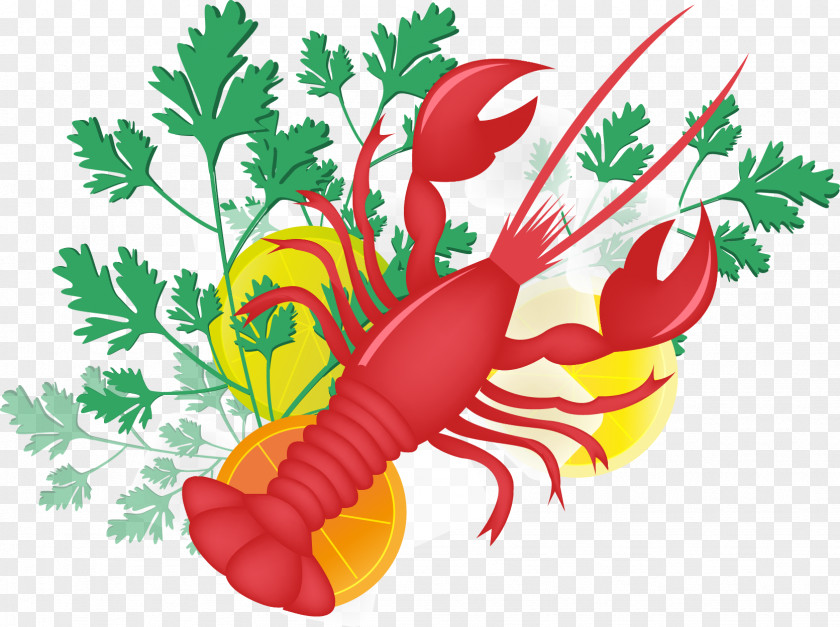 Vector Lobster Food Palinurus Clip Art PNG