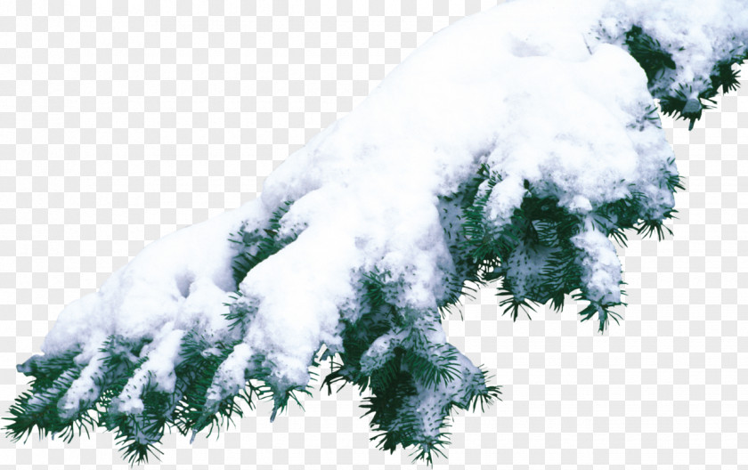 Snow Photography Winter Clip Art PNG