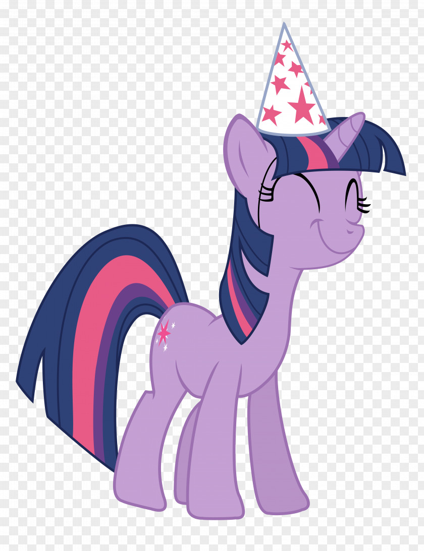Twilight Sparkle Pinkie Pie Applejack Rainbow Dash Rarity PNG