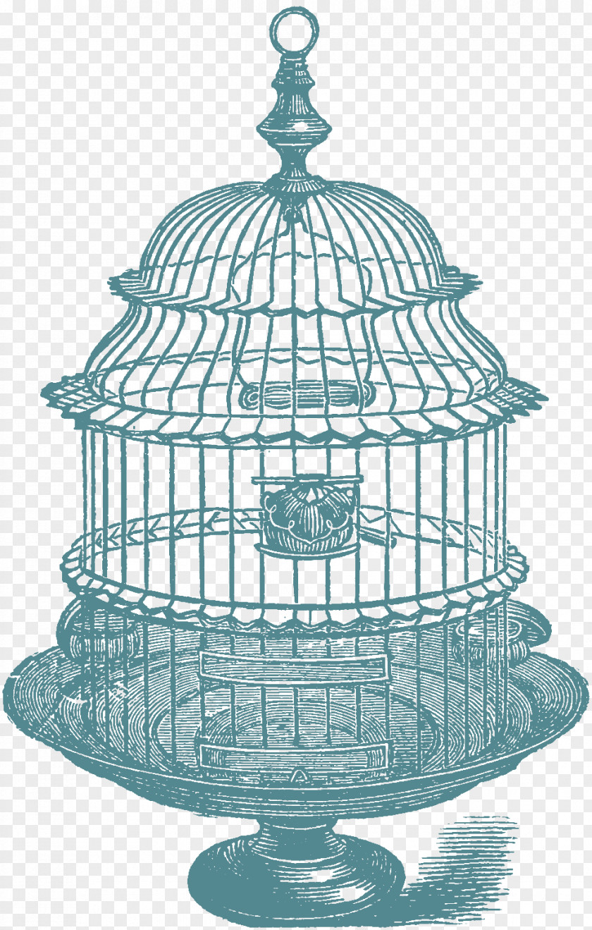 Birdcage Domestic Canary Clip Art PNG