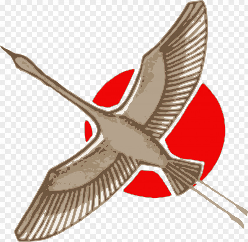 Crane Bird Clip Art Product Line Beak PNG