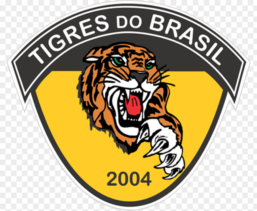 Football Duque De Caxias, Rio Janeiro Esporte Clube Tigres Do Brasil Campeonato Carioca Série B1 Sports Association PNG