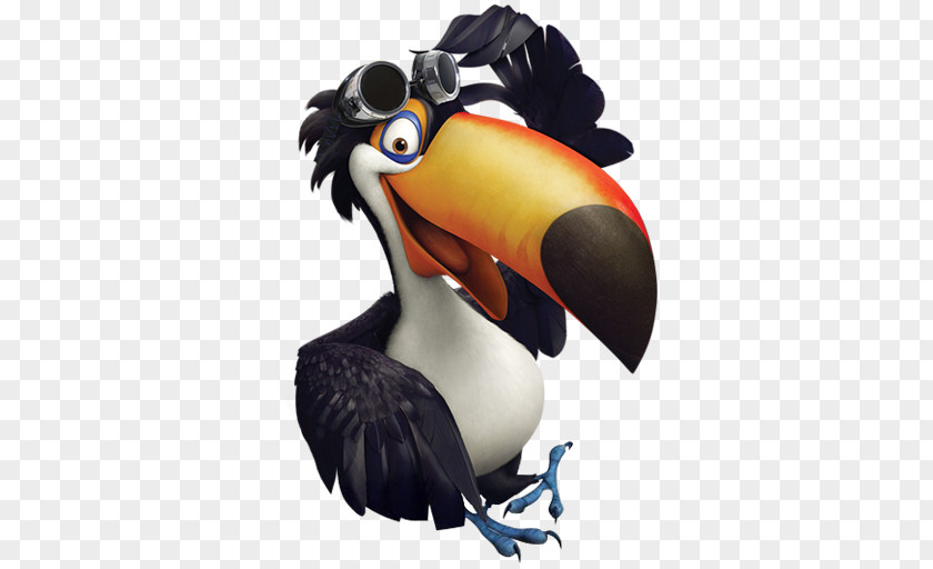 Rio2 Rafael Hornbill Piciformes Toucan Bird Beak PNG