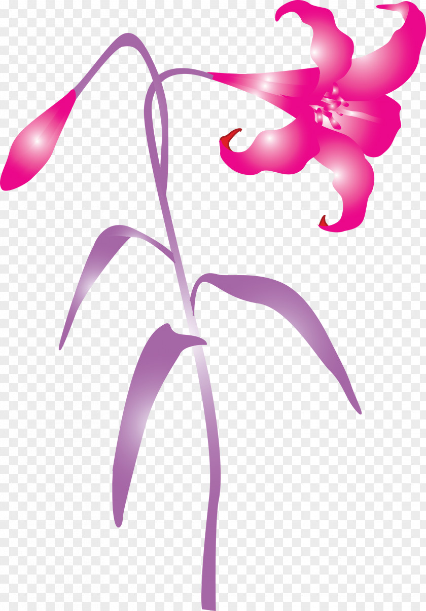 Easter Flower Spring PNG