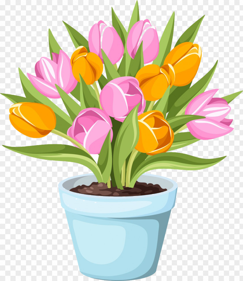 Pot Of Tulips Picture Material Flowerpot Tulip Stock Photography PNG