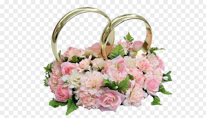 Romantic Pink Ring Rose PNG