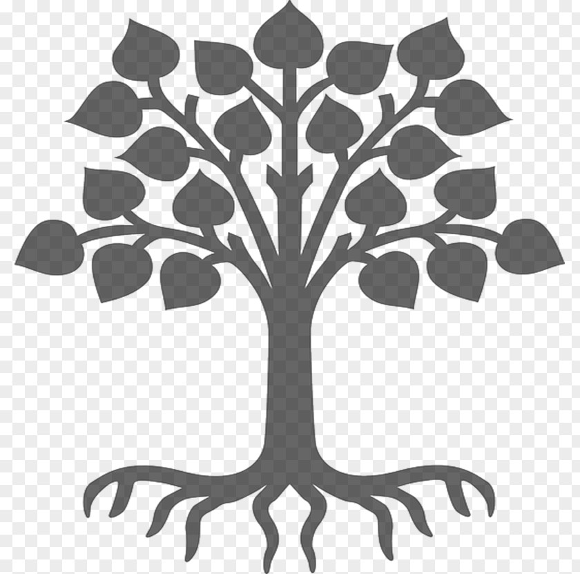 Tree Of Life Business Organization Root PNG