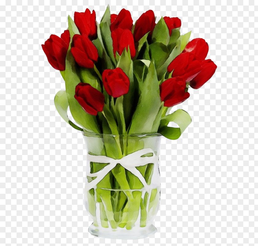 Vase Flowerpot Flower Flowering Plant Red Cut Flowers PNG