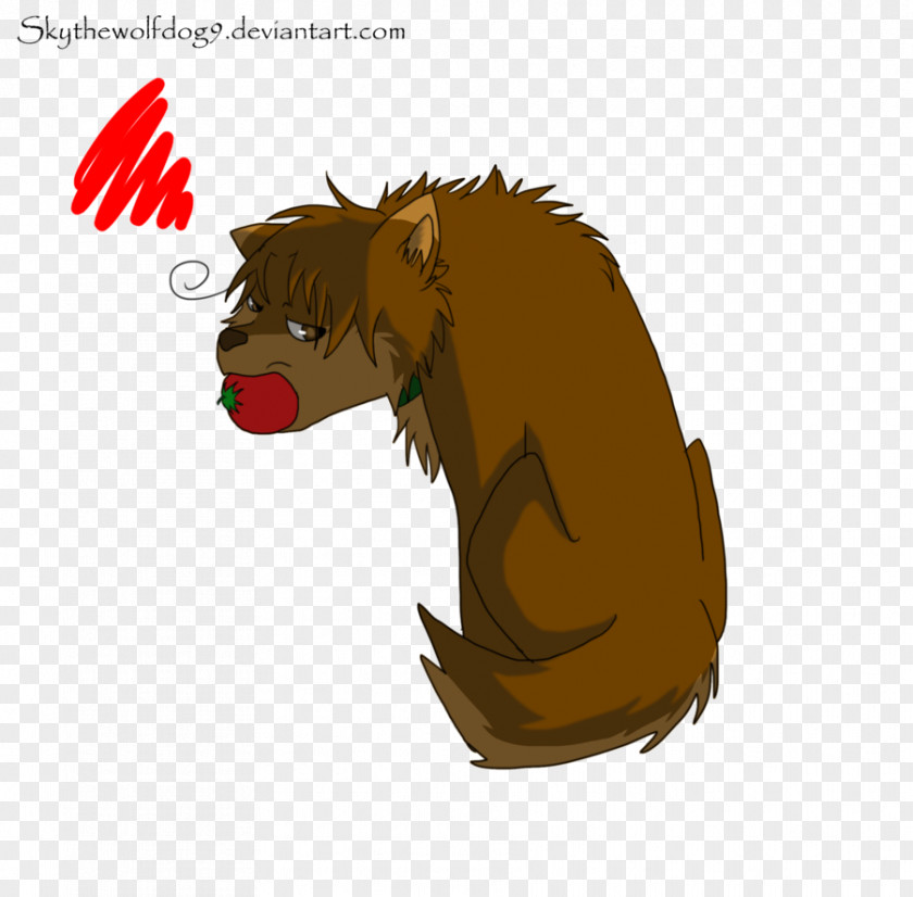 Bear Beaver Cat Mammal Illustration PNG