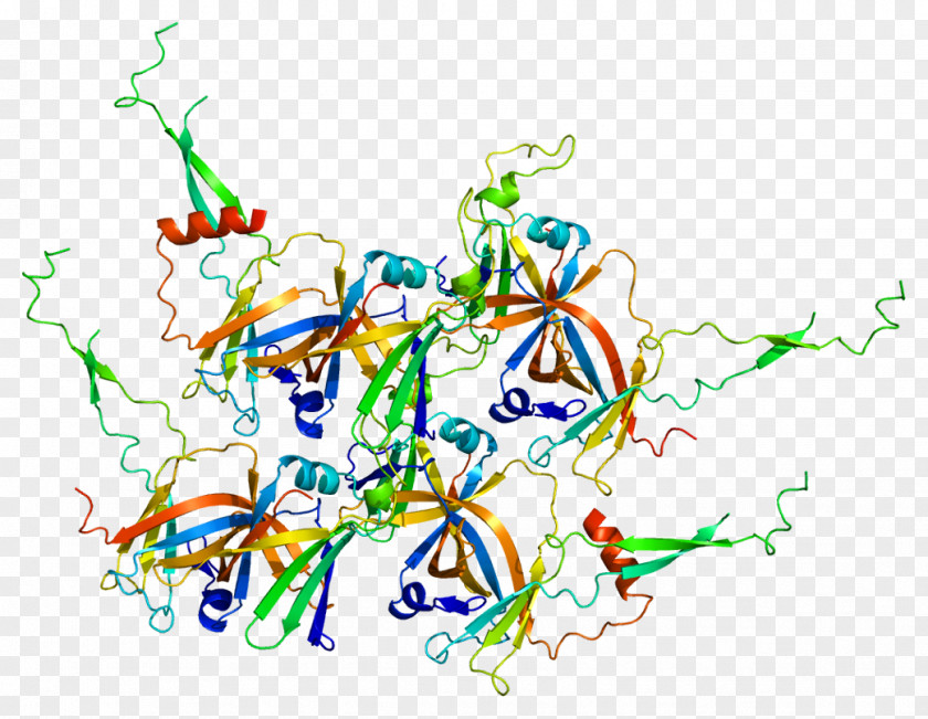 GTF2F1 Transcription Factor II F B Gene POLR2A PNG