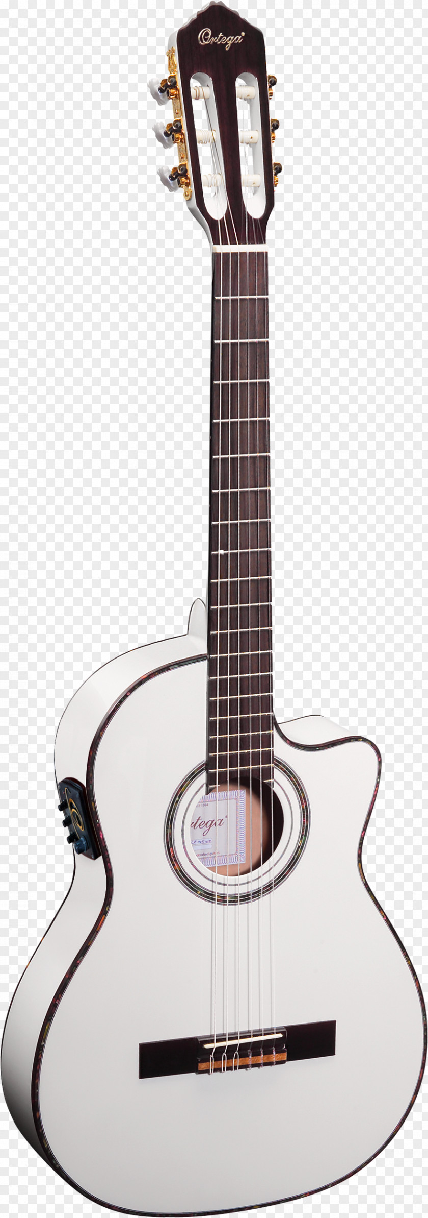Amancio Ortega Steel-string Acoustic Guitar Musical Instruments Classical PNG