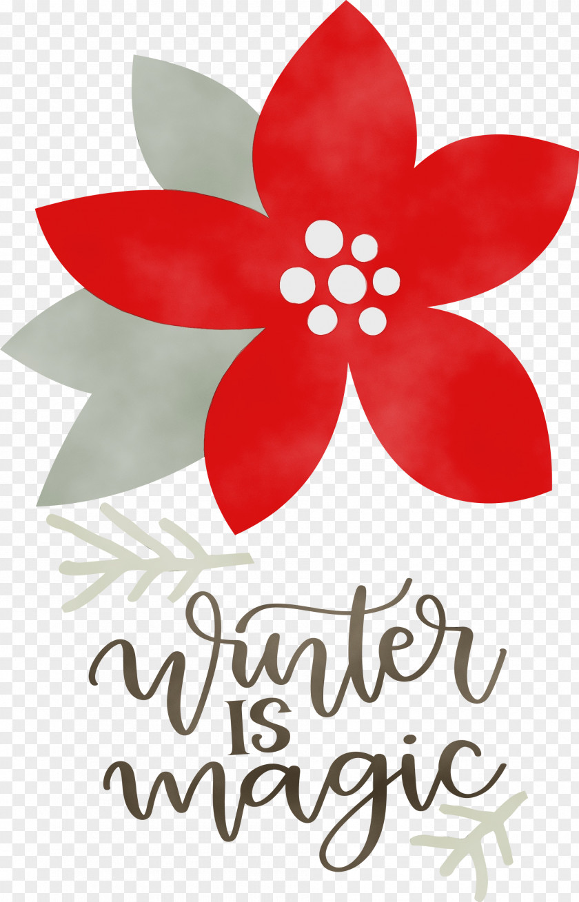 Floral Design PNG