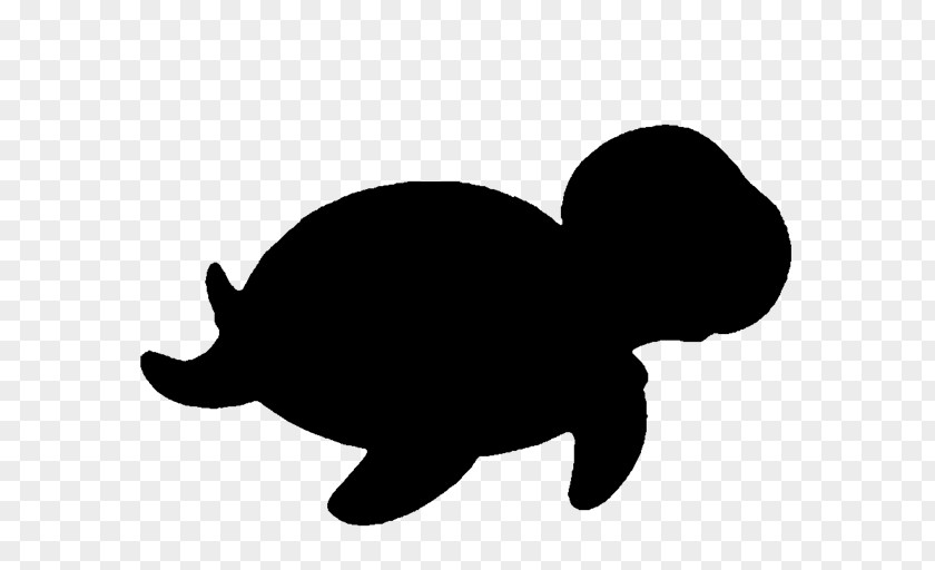 M WINSKO TURTLE Clip Art Fauna Cat Black & White PNG