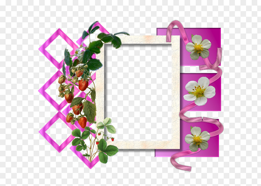 Phonebook Self-help Book Secondary Education Picture Frames Floral Design PNG