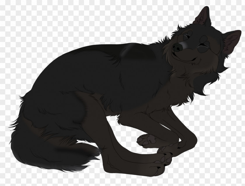 Raven Cat Dog DeviantArt Whiskers PNG