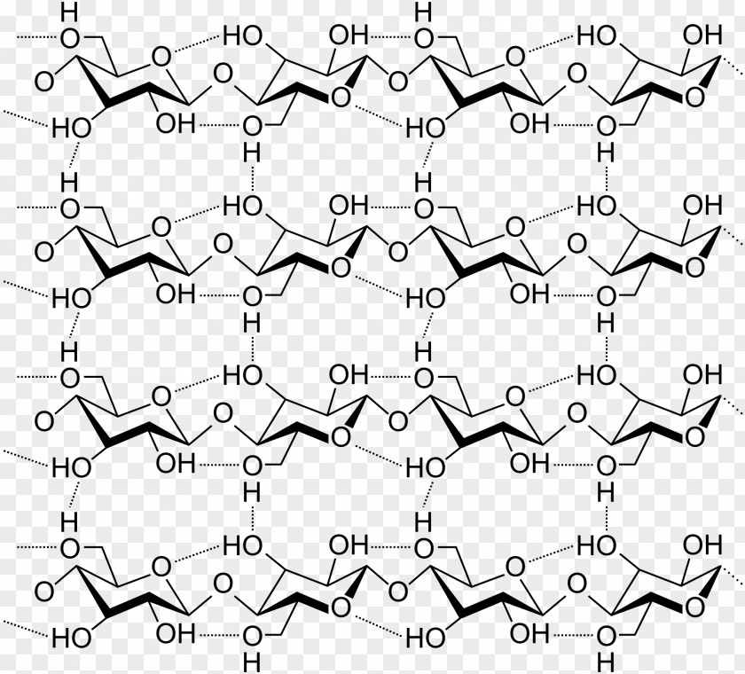 Cellulose Structure Hydrogen Bond Carbohydrate Polysaccharide PNG