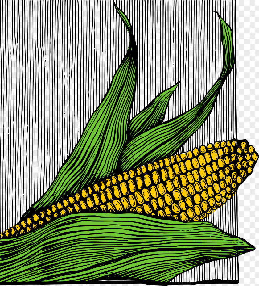 Corn On The Cob Popcorn Dog Flakes Maize PNG