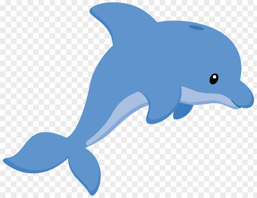 Dolphin Porpoise Common Bottlenose Clip Art PNG