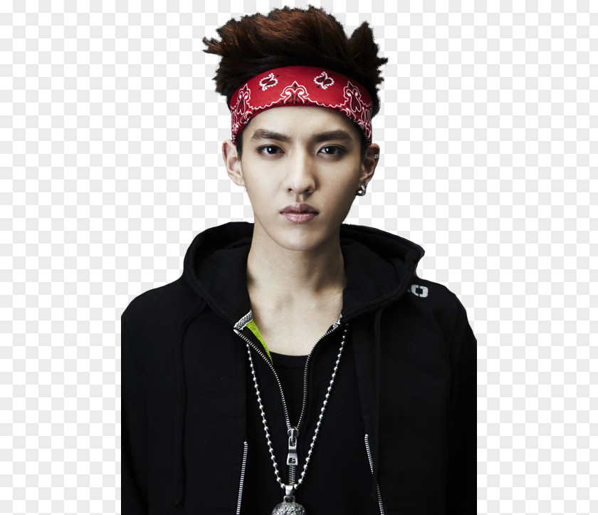 Exo Kris Wu EXO K-pop Wolf XOXO PNG